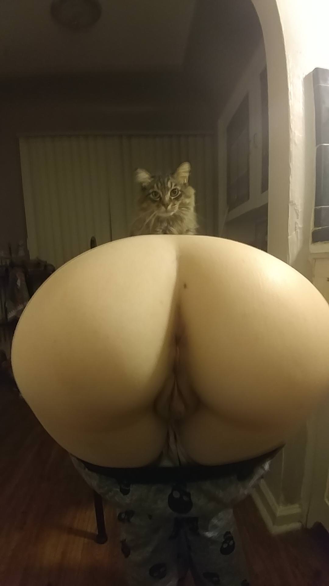 I Think This Belongs Here “pussy”