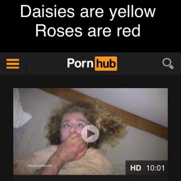 Daisies Are Yellow