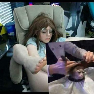 Giving The Monkey A Nice Haircut