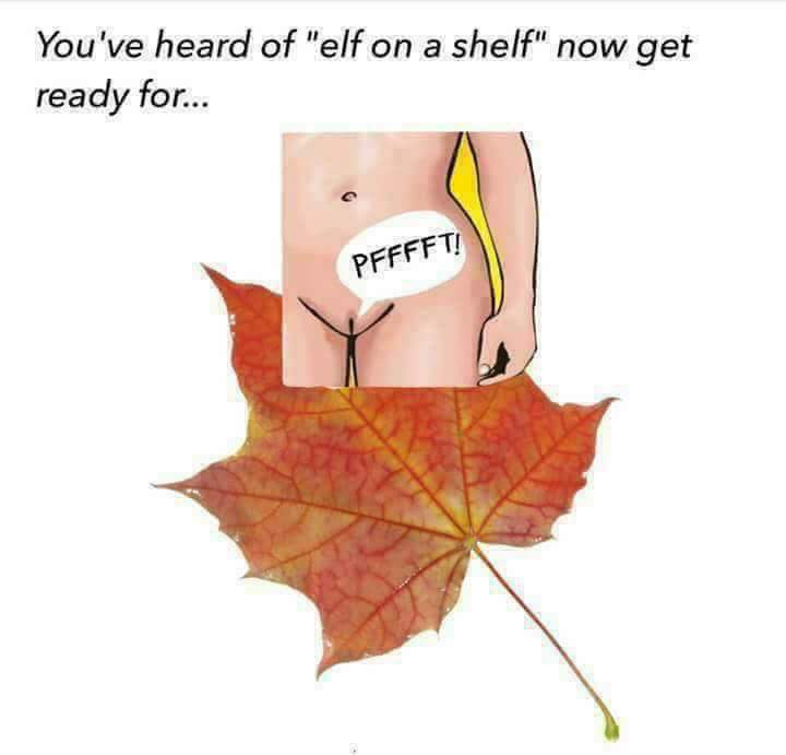 Queef On A Leaf
