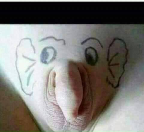 Elephant Dick