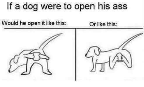 If A Dog Were To….