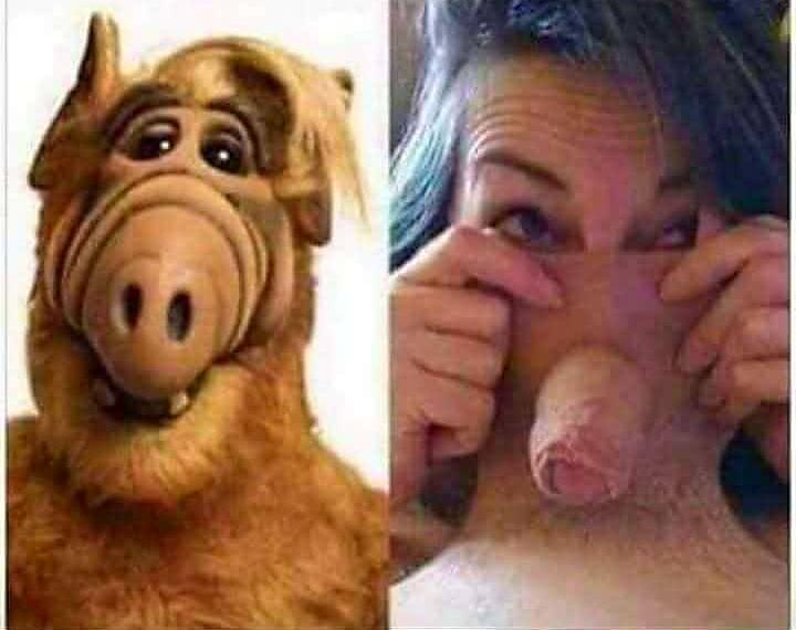 Oh, Alf.