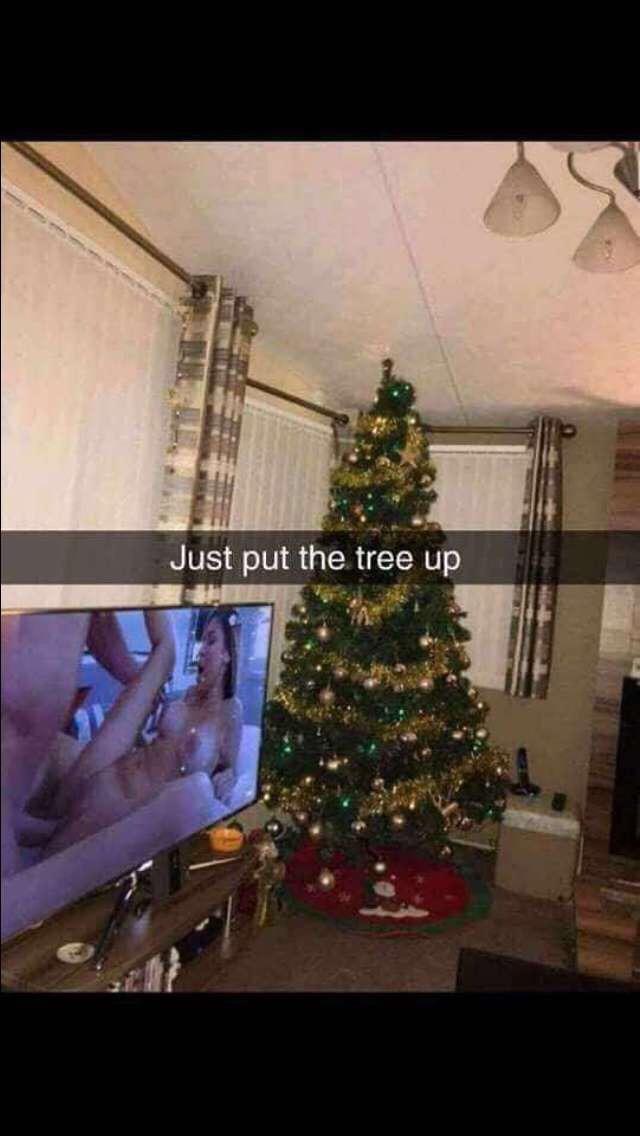 Just Put The Christmas Tree Up
