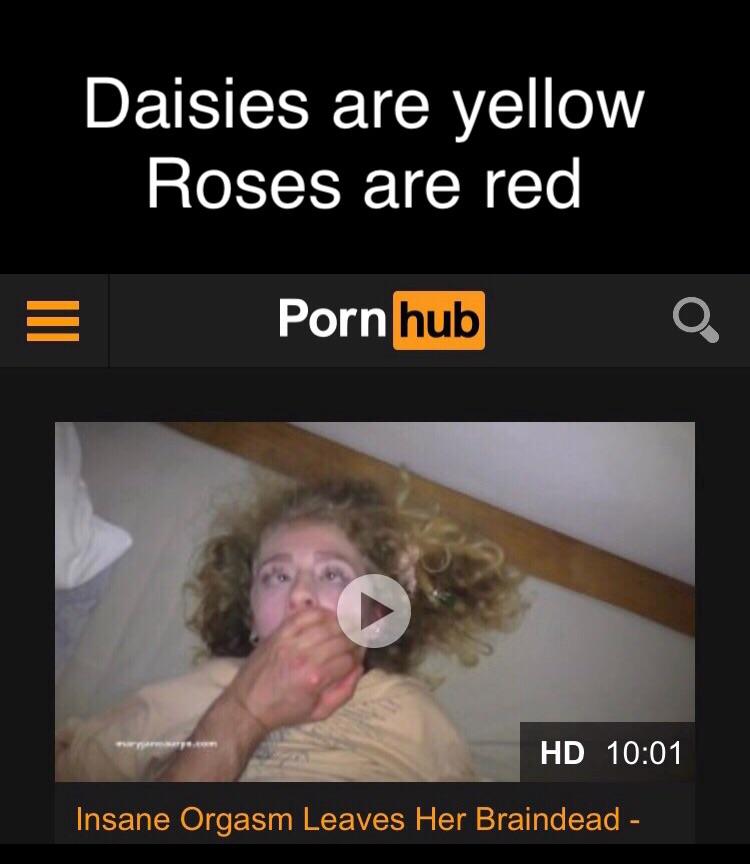 Daisies Are Yellow